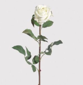 Mini Rose Basket(without wrapping)