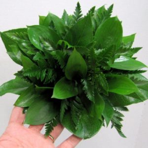 decoration leaf
