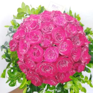 red rose