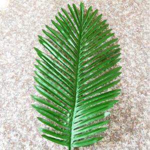 palm leaf