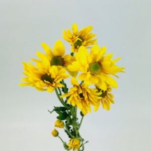Yellow Flower