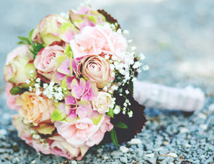 Mixed Flower