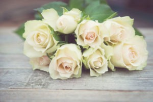White Rose